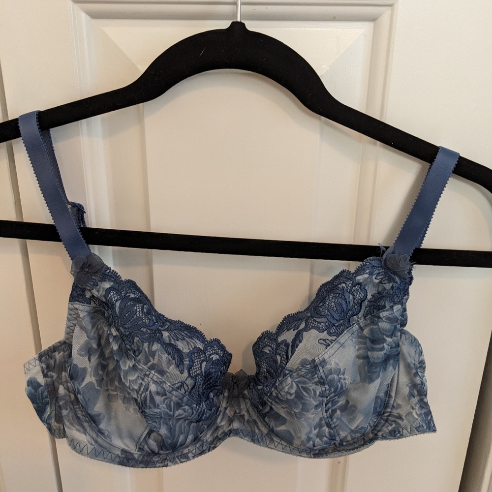 Fantasie Blue Lace bra 34D